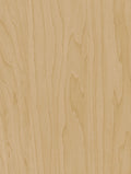 CT20