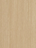 CT33