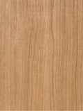 CT42