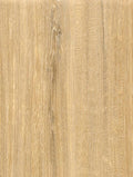 CT82
