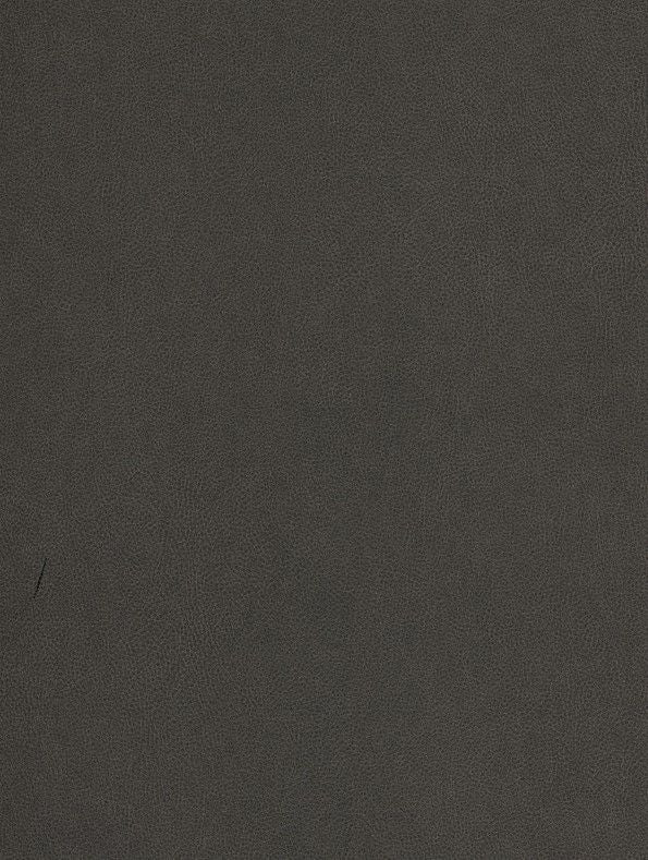 NE40