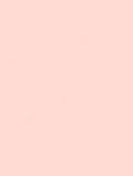 NF01